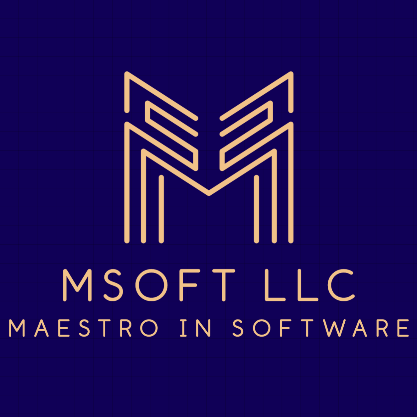 mSoft LLC, LLC